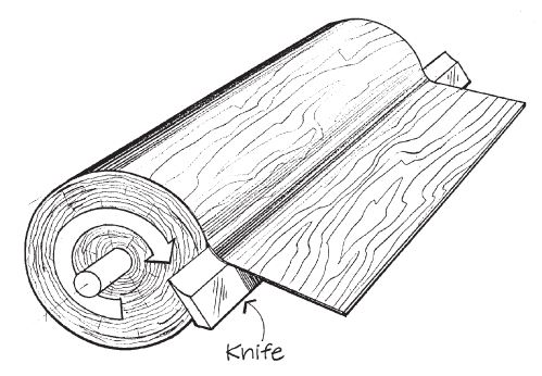4 Wood Door Veneer Slicing Options